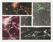 Ультратонкая напечатанная структура картины картины мрамора ткани нейлона сложная